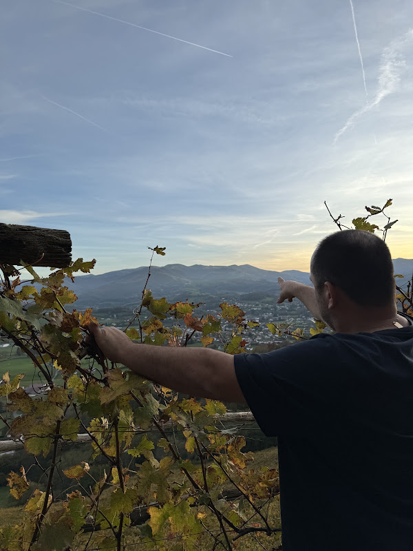 Domaine Abotia 2024