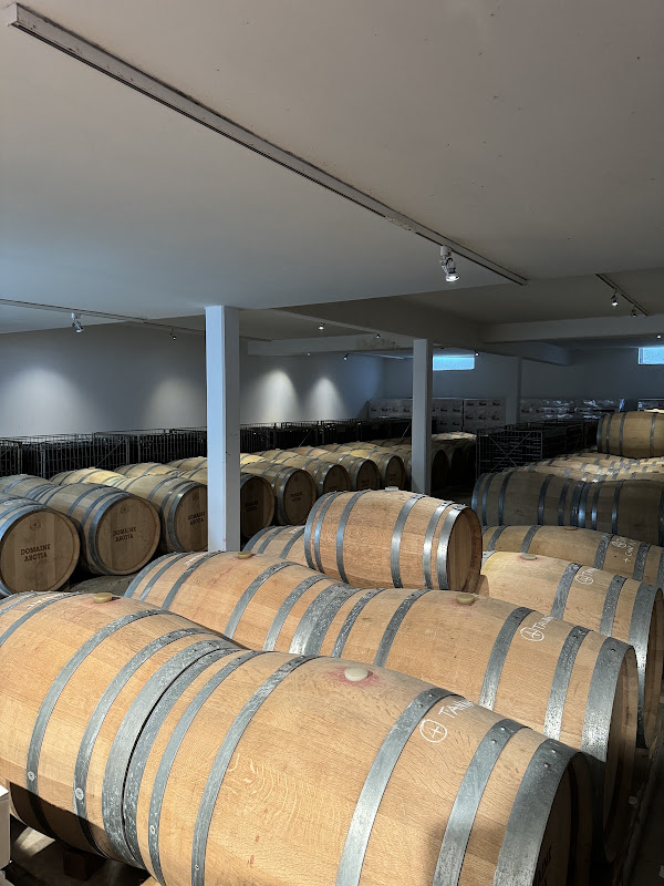 Domaine Abotia 2024