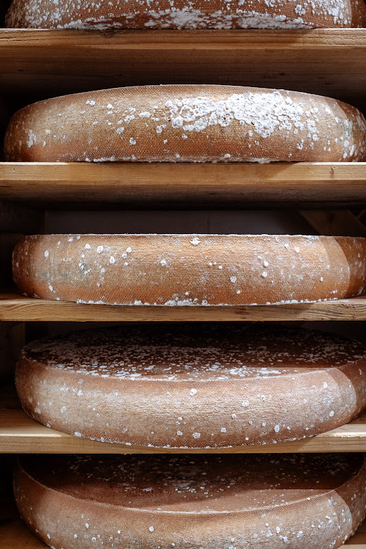 Coopérative de Plasne 2025 · Visites producteurs